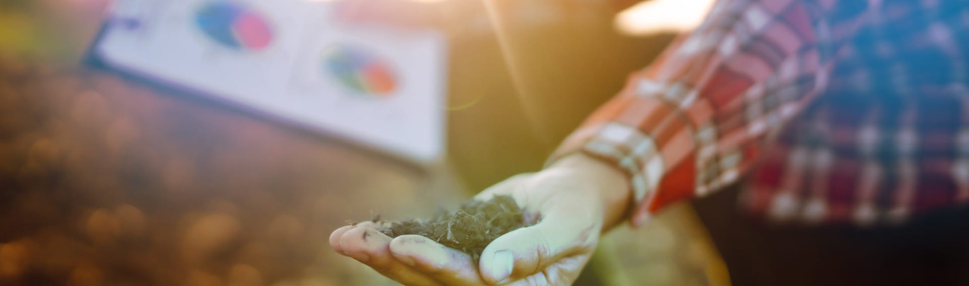 Gestão em Agronegócio